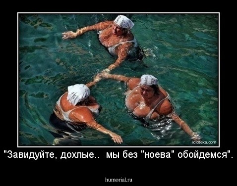 "Завидуйте, дохлые..  мы без "ноева" обойдемся".