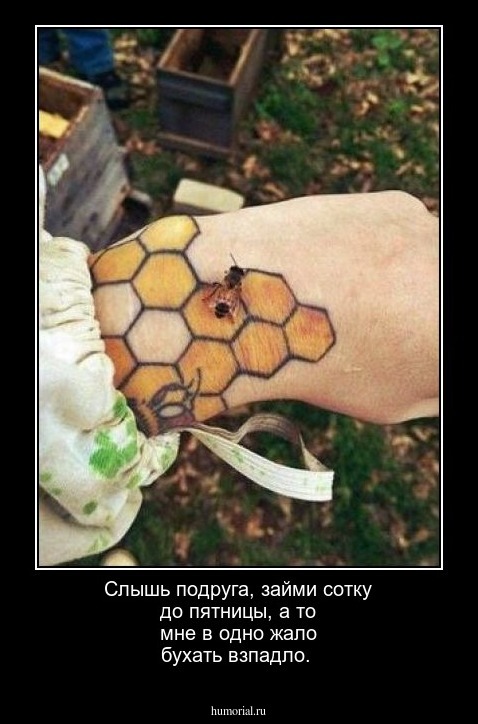 Слышь подруга, займи сотку до пятницы, а то мне в одно жало бухать взпадло.