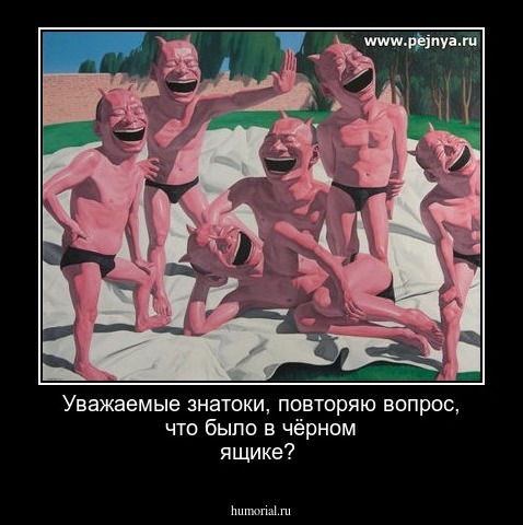 Уважаемые знатоки, повторяю вопрос, что было в чёрном ящике?