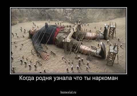 Когда родня узнала что ты наркоман