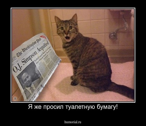 Я же просил туалетную бумагу!