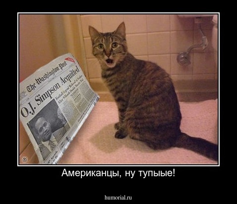 Американцы, ну тупыые!