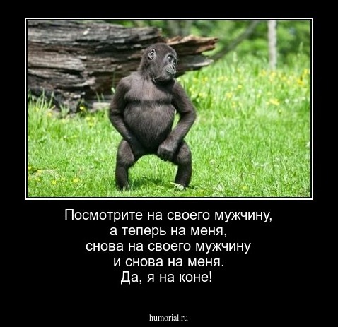 Посмотрите на своего мужчину, а теперь на меня, снова на своего мужчину и снова на меня. Да, я на коне!