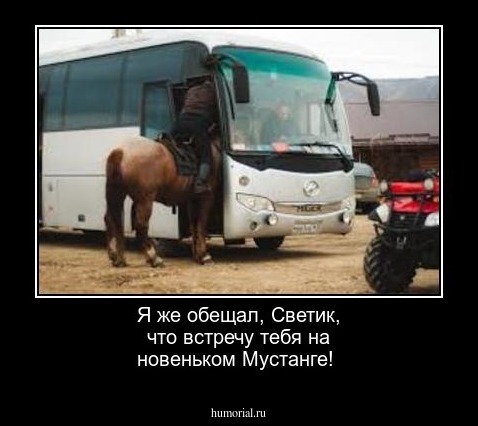 Я же обещал, Светик, что встречу тебя на новеньком Мустанге!