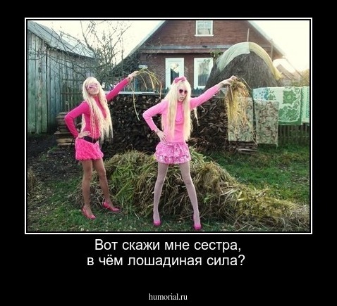 Вот скажи  мне  сестра, в чём  лошадиная сила?