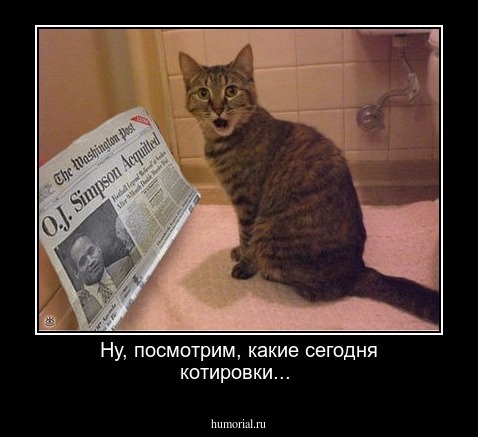 Ну, посмотрим, какие сегодня котировки...
