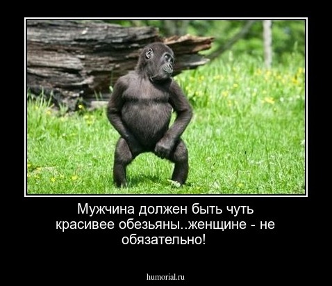 Мужчина должен быть чуть красивее обезьяны..женщине - не обязательно!