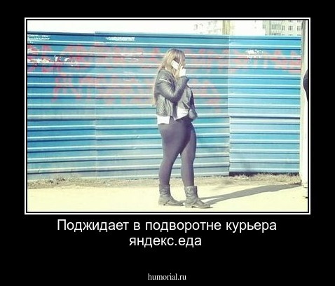 Поджидает в подворотне курьера яндекс.еда