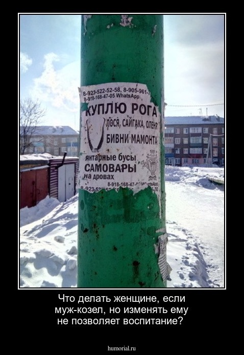 Что делать женщине, если муж-козел, но изменять ему не позволяет воспитание?
