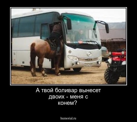 А твой боливар вынесет двоих - меня с конем?