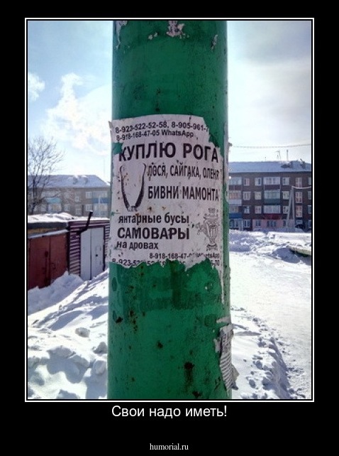 Свои надо иметь!