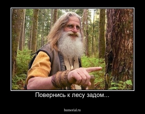 Повернись к лесу задом...