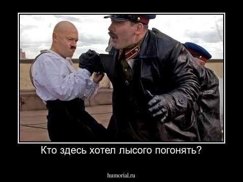 Кто здесь хотел лысого погонять?