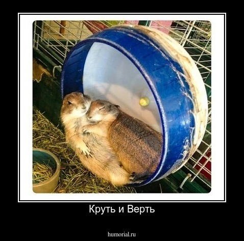 Круть и Верть
