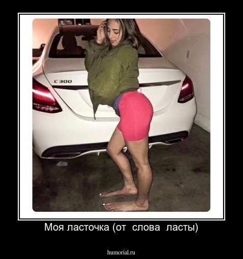 Моя ласточка (от  слова  ласты)