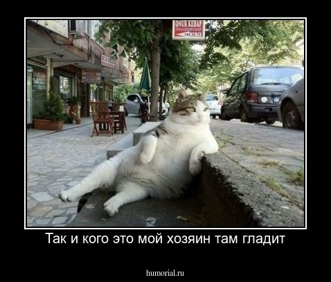 Так и кого это мой хозяин там гладит