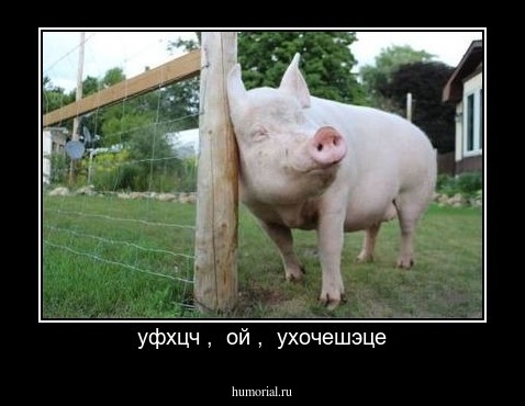 уфхцч ,  ой ,  ухочешэце