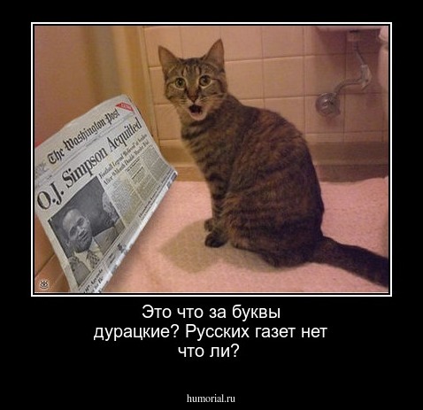 Это  что за буквы дурацкие?  Русских газет  нет что ли?