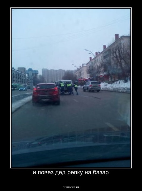 и повез дед репку на базар