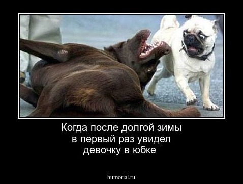 Когда после долгой зимы в первый раз увидел девочку в юбке