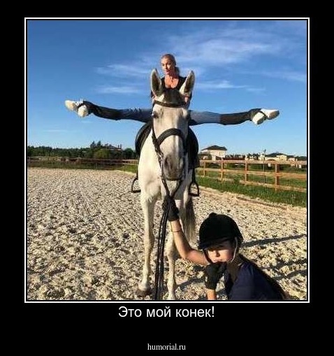 Это мой конек!