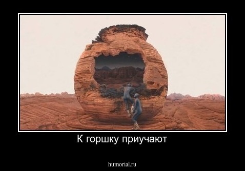 К горшку приучают
