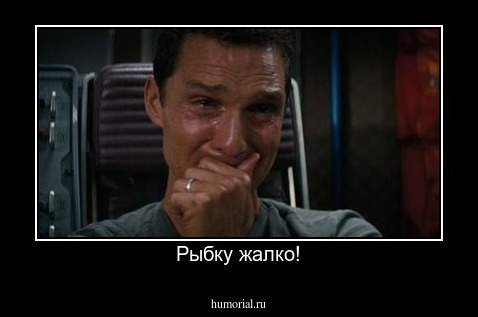 Рыбку жалко!