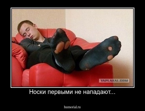 Носки первыми не нападают...
