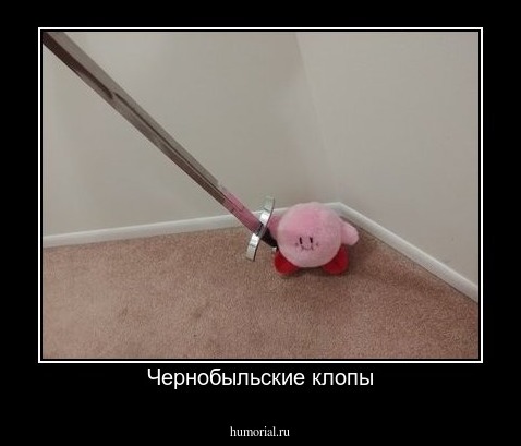 Чернобыльские клопы