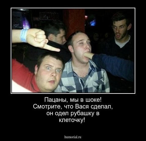 Пацаны,  мы  в шоке!  Смотрите, что Вася сделал, он одел рубашку в клеточку!