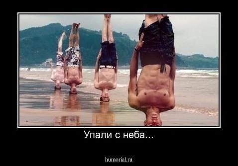 Упали с неба...