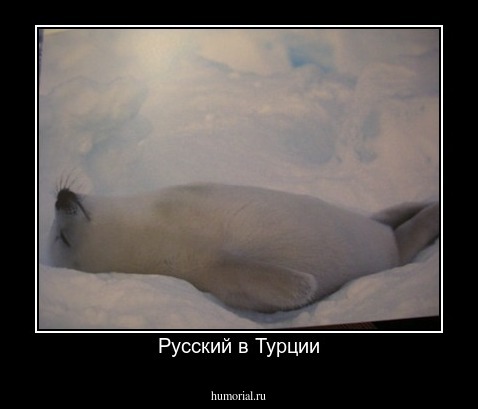 Русский в Турции