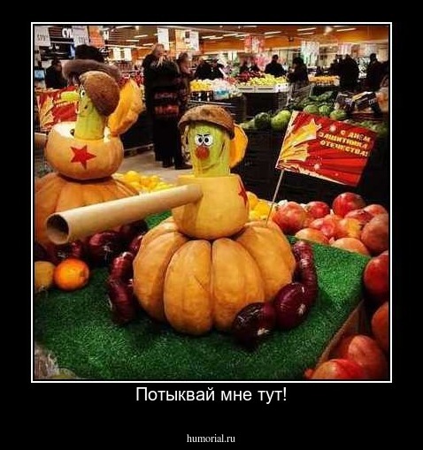 Потыквай мне тут!