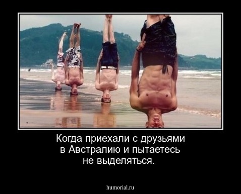 Когда приехали с друзьями в Австралию и пытаетесь не выделяться.