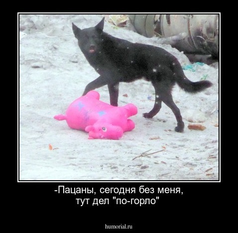 -Пацаны, сегодня без меня, тут дел "по-горло"