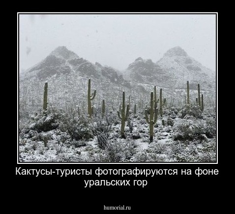 Кактусы-туристы фотографируются на фоне уральских гор