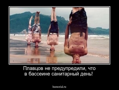 Плавцов не предупредили, что в бассеине санитарный день!