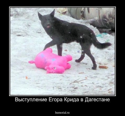 Выступление Егора Крида в Дагестане