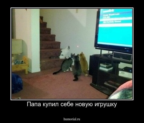 Папа купил себе новую игрушку