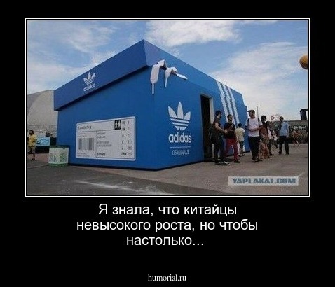 Я знала, что китайцы невысокого роста, но чтобы настолько...