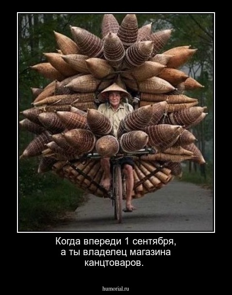 Когда впереди 1 сентября, а ты владелец магазина канцтоваров.
