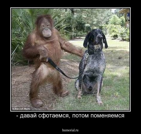 - давай сфотаемся, потом поменяемся