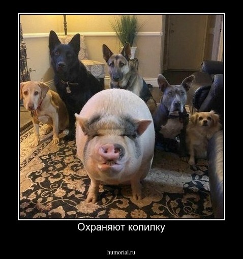 Охраняют копилку