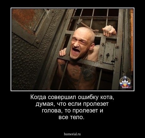 Когда совершил ошибку кота, думая, что если пролезет голова, то пролезет и все тело.