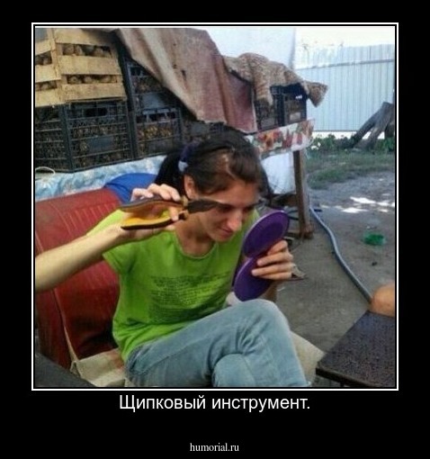 Щипковый инструмент.