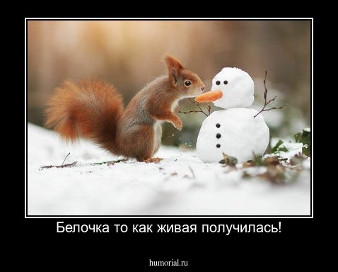 Белочка то как живая получилась!