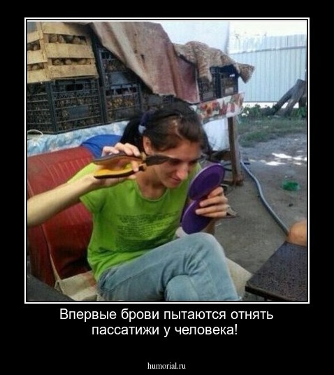 Впервые брови пытаются отнять пассатижи у человека!
