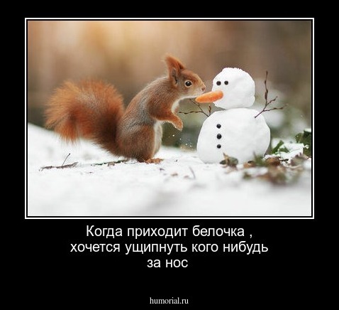 Когда приходит белочка , хочется  ущипнуть кого нибудь за нос