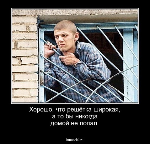 Хорошо, что решётка широкая, а то бы никогда домой не попал
