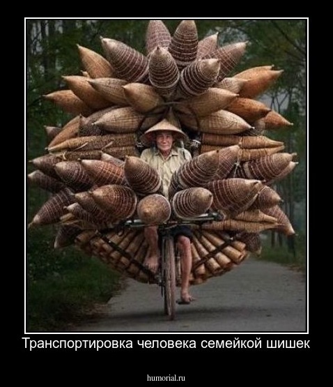 Транспортировка человека семейкой шишек